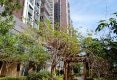 金湖翡翠户型图实景图