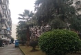 逸涛小区户型图实景图