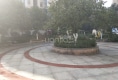 东江新天地户型图实景图