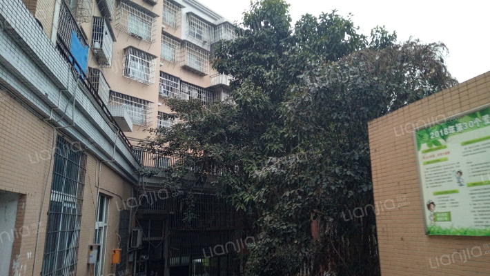 学府雅园外景图