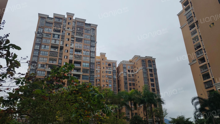 泉州房产>泉州小区>永春县小区>荣誉锦江花园1人关注
