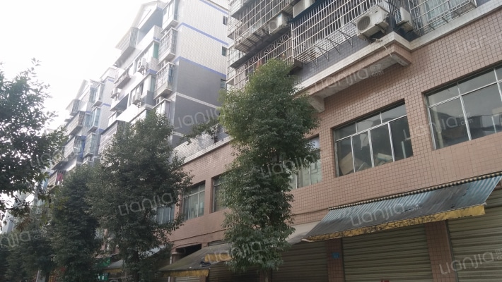 春天花园外景图