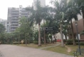 德信华城户型图实景图