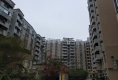 华园户型图实景图