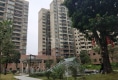 岭南新邨户型图实景图