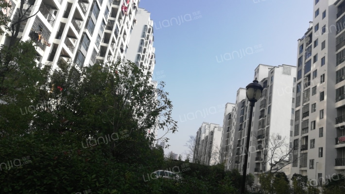 楼宇国际外景图