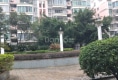 金玉良城户型图实景图