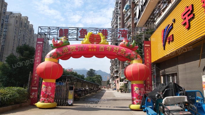 鲤鱼港湾外景图