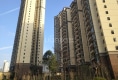 阳光马德里四期户型图实景图