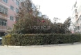 宁辉花园户型图实景图