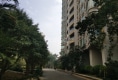 理想雅苑户型图实景图