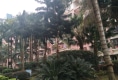 建闽小区户型图实景图