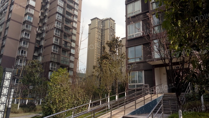 林业人家外景图