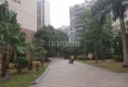德信华城户型图实景图