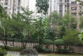 万达华城C区户型图实景图