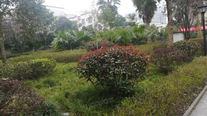 海德太阳城外景图