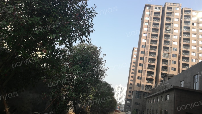 豪鼎登科国际外景图