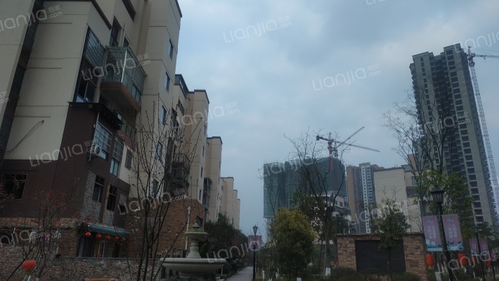 盛聪左岸春天外景图