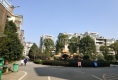 神农滨谷湾户型图实景图