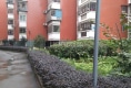 财富公寓户型图实景图