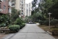 天安金域兰湾A区户型图实景图