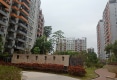 天河湾金景园户型图实景图