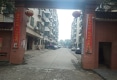 珠泉镇东塔县委二宿舍户型图实景图
