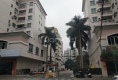 东怡花园户型图实景图