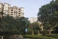 阳光马德里南区户型图实景图