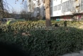 金王府小区户型图实景图
