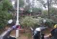 康辉花园户型图实景图