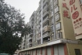 鹏翔金凤苑户型图实景图