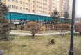 令牌锦绣嘉园户型图实景图