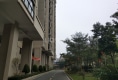 金山雅筑户型图实景图