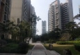保利罗兰香谷三期户型图实景图