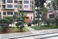 半岛温泉户型图实景图