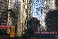 招商花园城C区幸福里户型图实景图