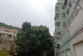 天河湾金旭园户型图实景图