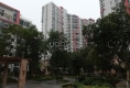 尚东康城户型图实景图