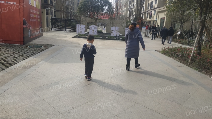 隆鑫中央大街外景图