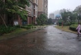 幸福里九号户型图实景图