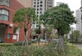 金马小区户型图实景图