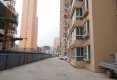 临夏市液压鉴厂家属楼户型图实景图