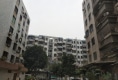 紫荆园户型图实景图