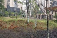东晟泰和园户型图实景图