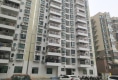 城中雅轩户型图实景图