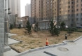清河上海城户型图实景图
