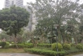 德信华城户型图实景图