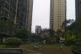 东城国际户型图实景图