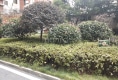 信步贤庭户型图实景图